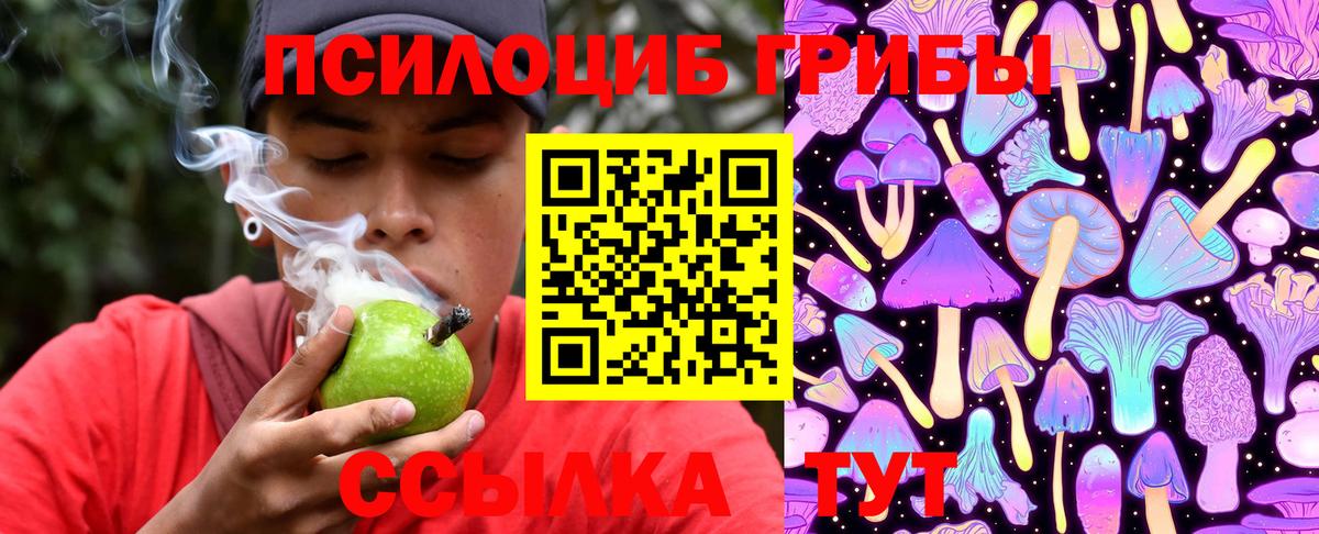 Псилоцибиновые грибы Cubensis Славянск-на-Кубани