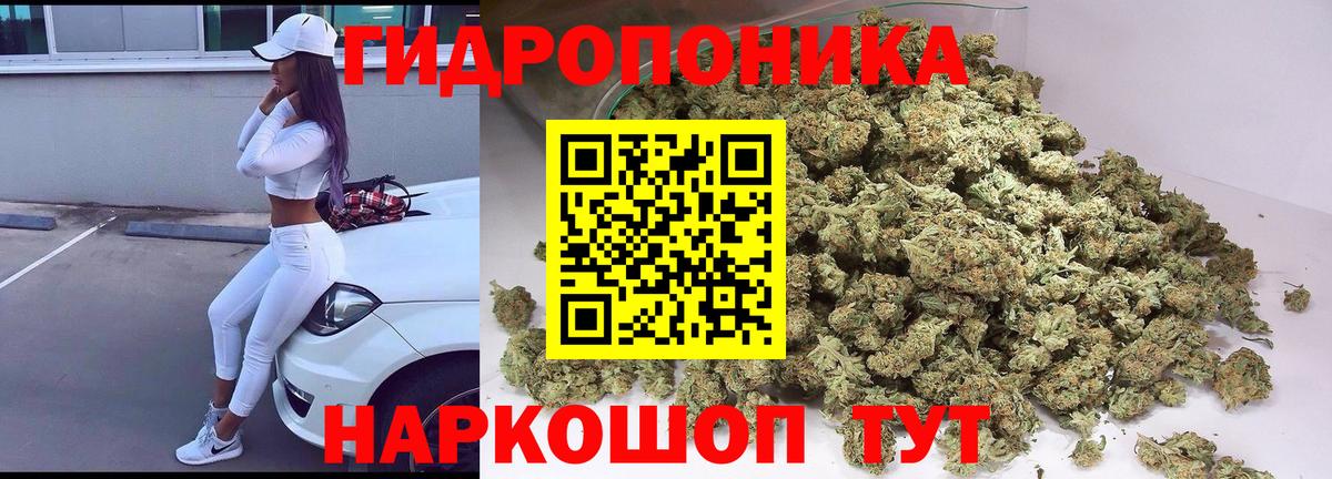 Канабис семена Славянск-на-Кубани
